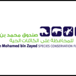 MohBINzayed_LOGO