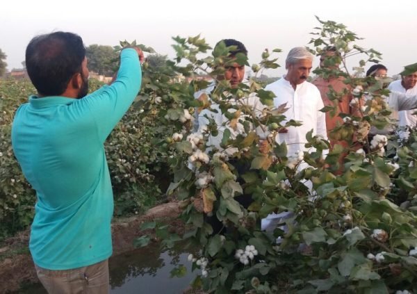 WhatsApp Image 2025-10-20 at 3.57.40 PM (1)